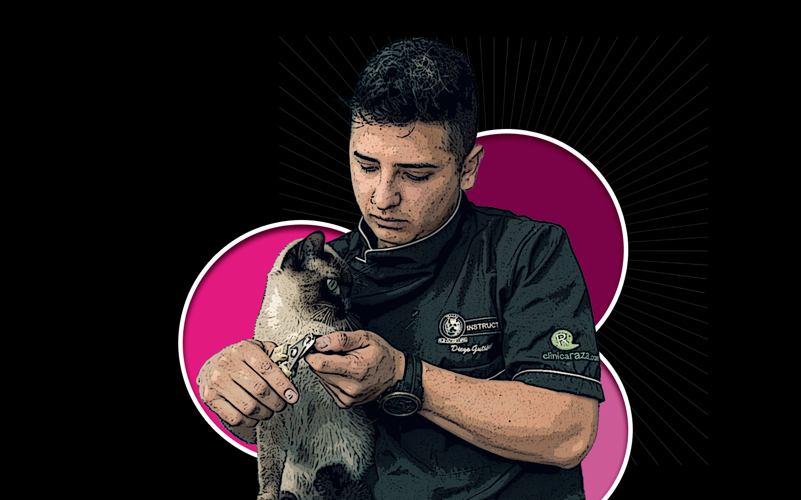 Odoo - Ejemplo 2 para tres columnas