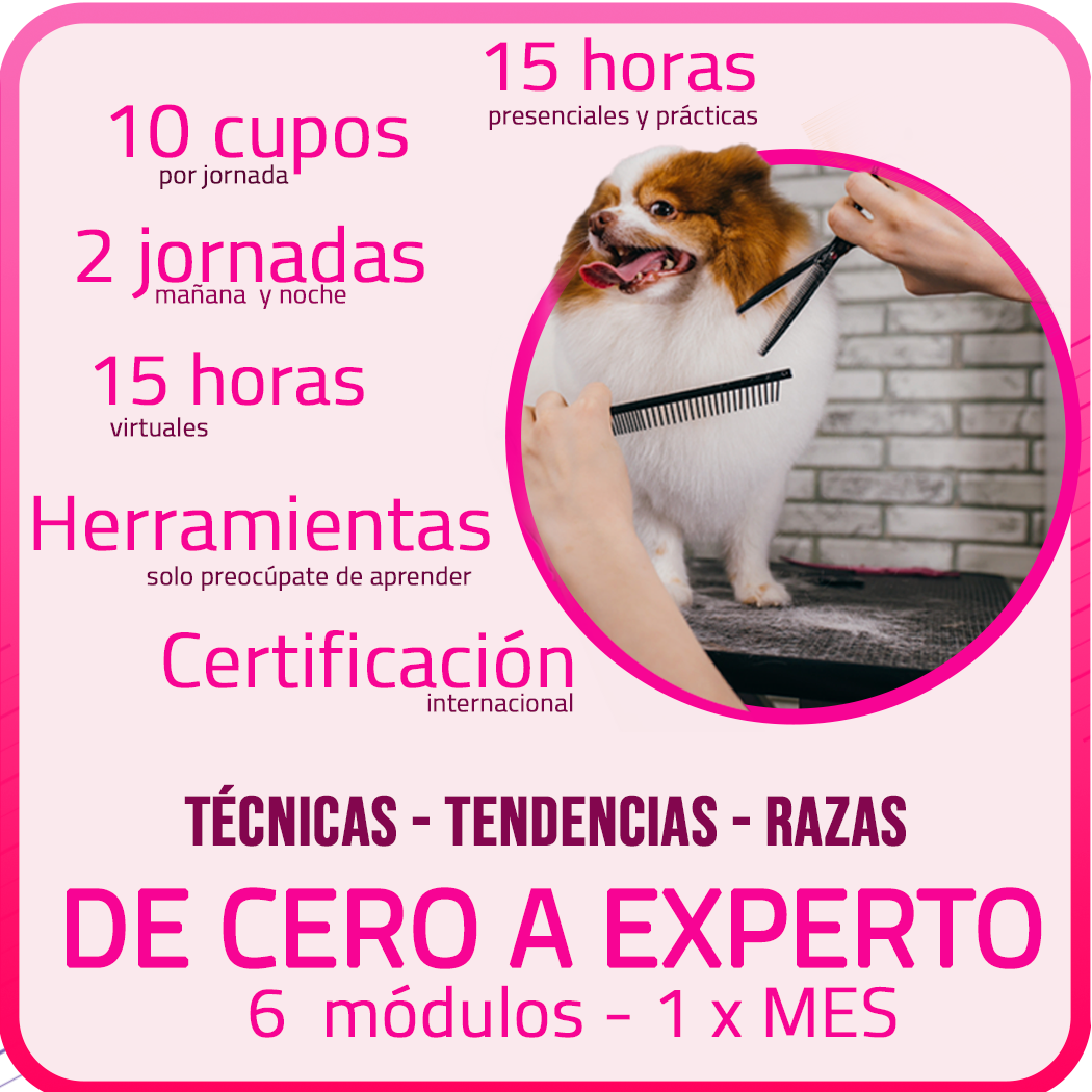 Imagen de la diapositiva