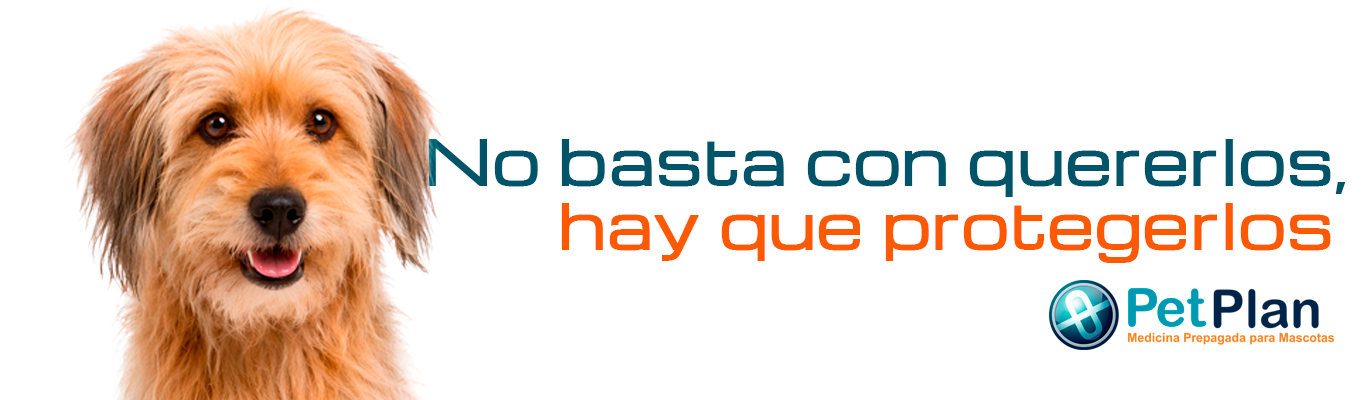 Cómo funciona petplan guia