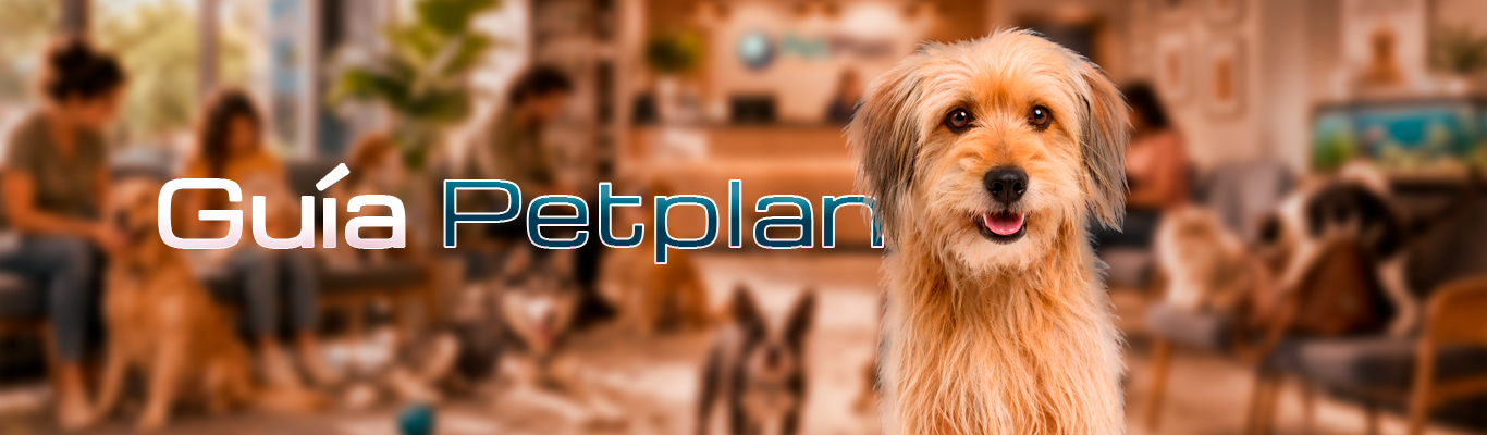 Cómo funciona petplan