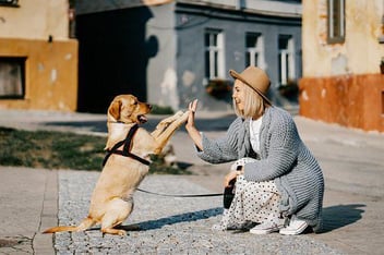Medicina prepagada para mascotas: La mejor inversión para la salud de tu peludo y tu tranquilidad