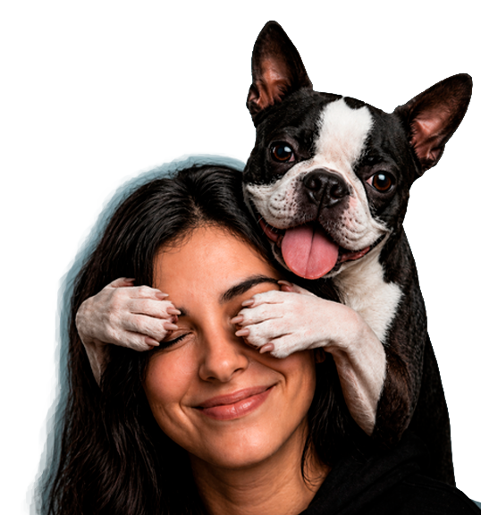 Perrito final