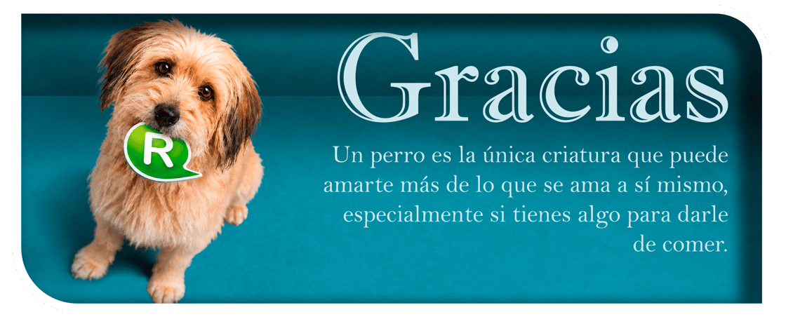 Urgencias veterinaria en bogotá telefono 3