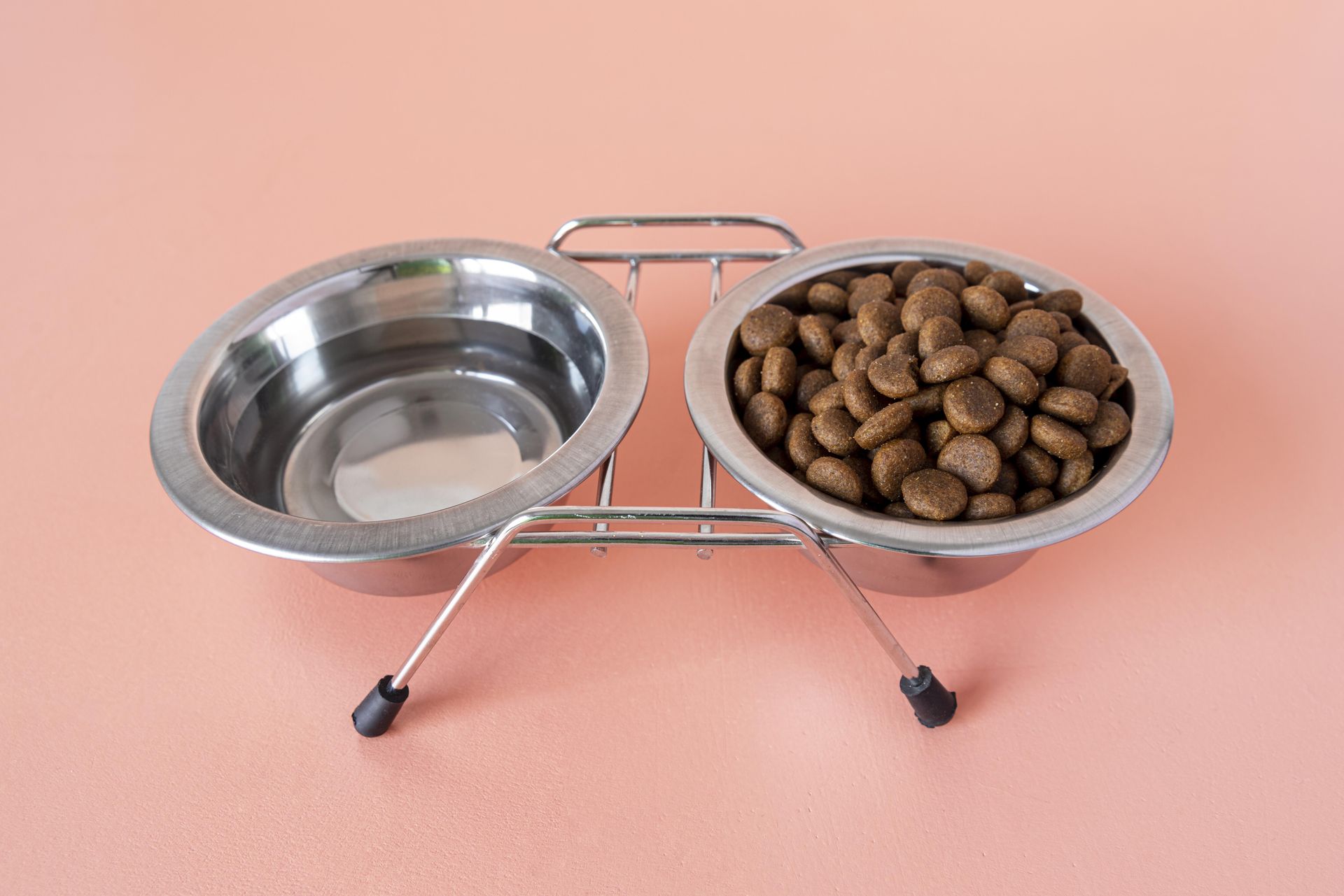 ¿Con qué frecuencia debo lavar el plato de mi mascota? | Clínica Raza