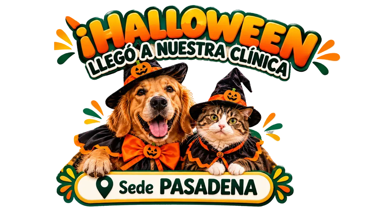 Sede Pasadena Sede Pasadena