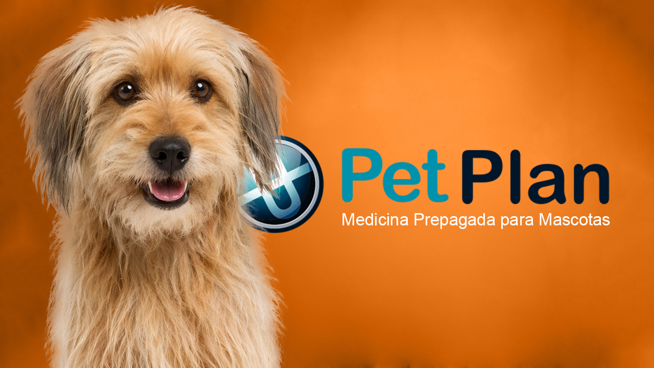 eps para mascotas