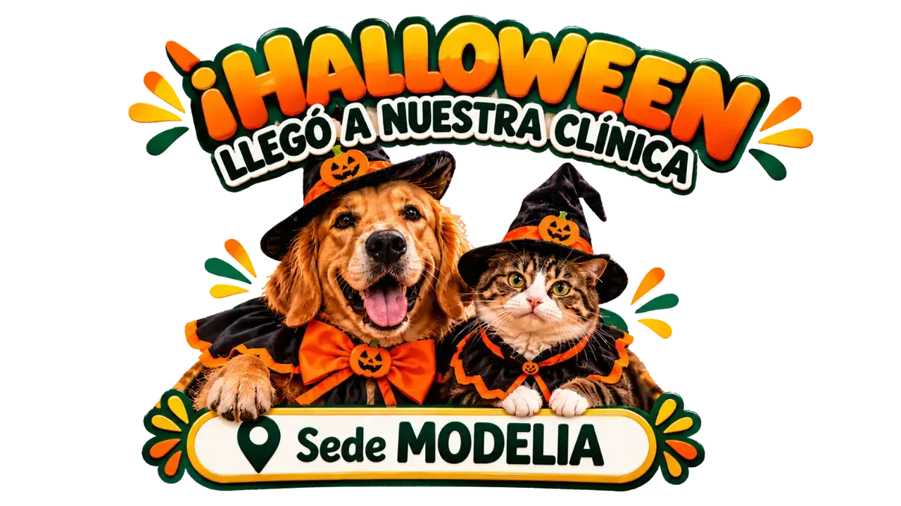 sede Modelia