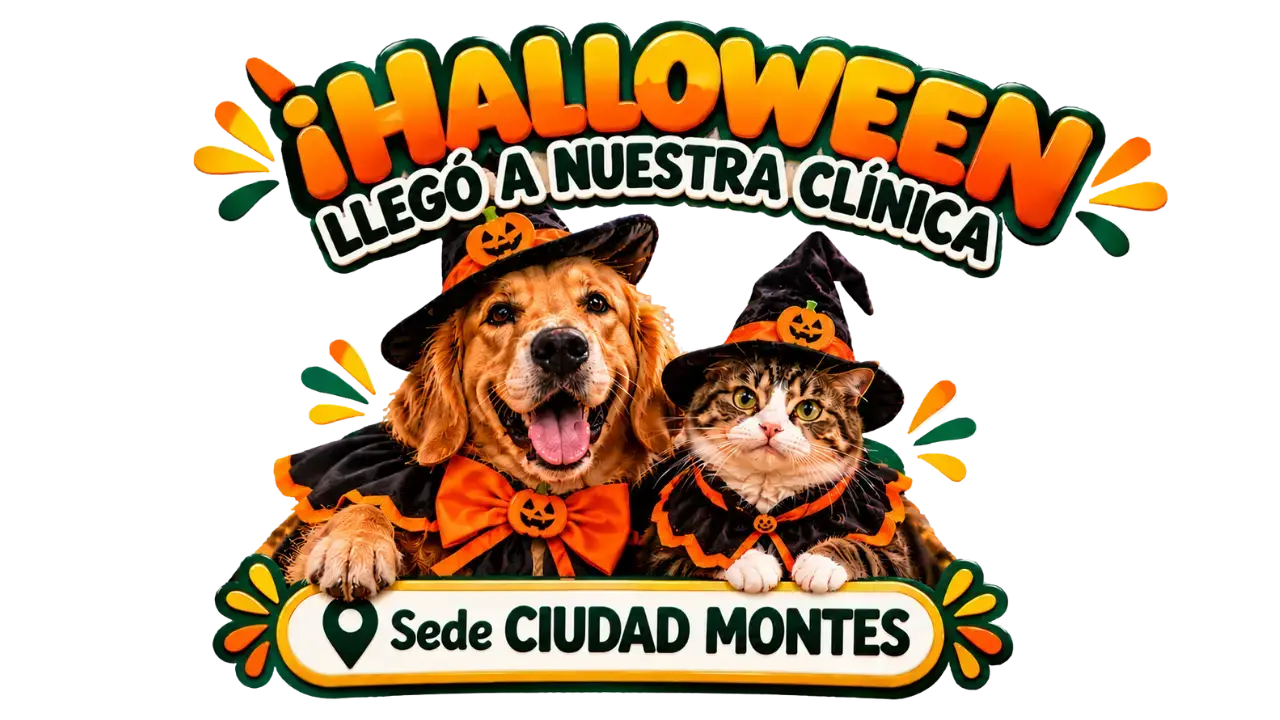 sede Montes sede Montes