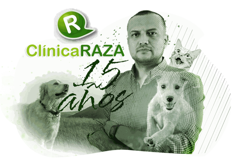 Odoo • Texto e Imagen