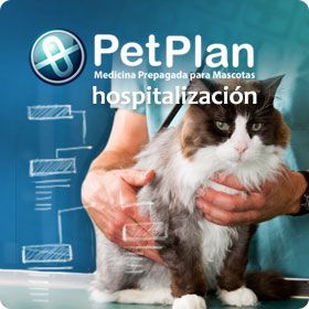 Odoo • Imagen y texto