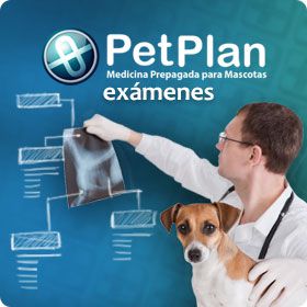 Odoo • Imagen y texto