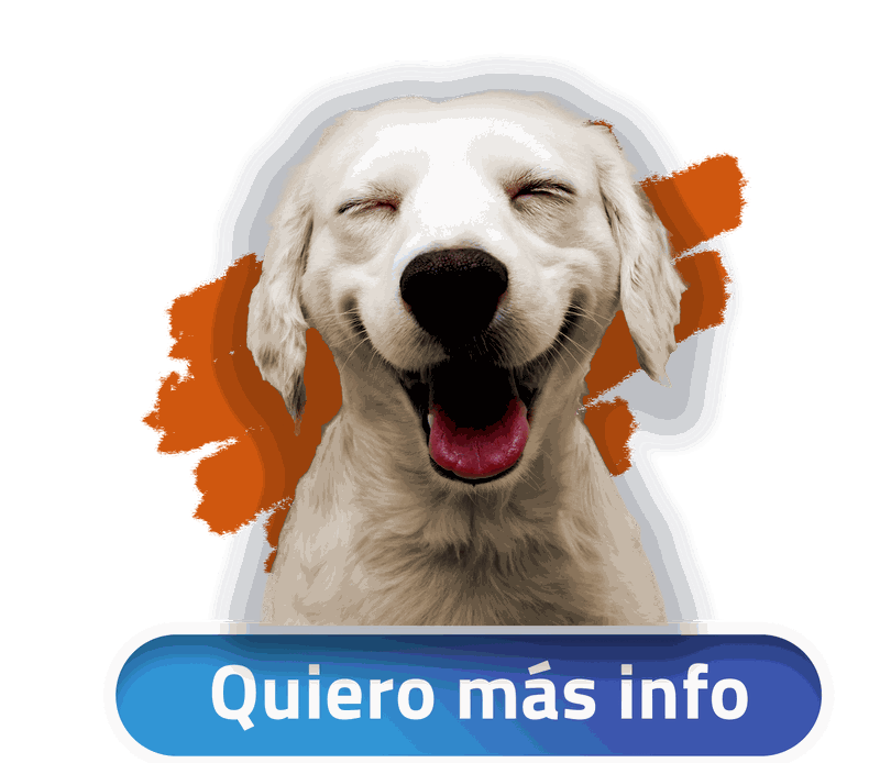 Odoo • Imagen y texto