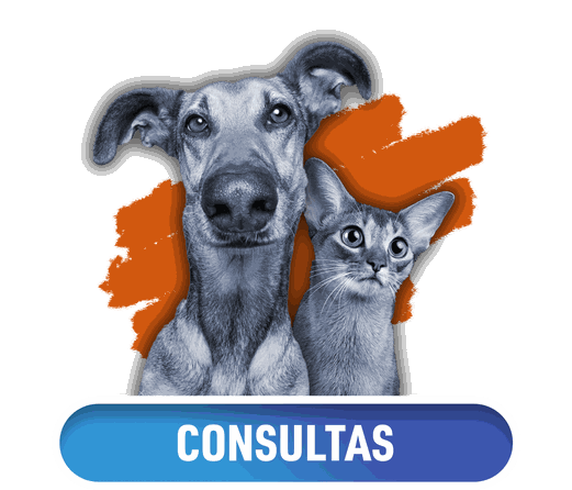 Odoo - Ejemplo 2 para tres columnas