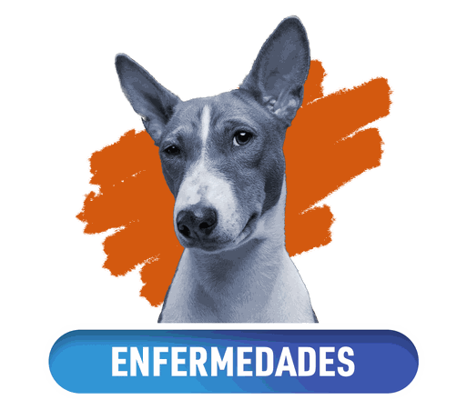 Odoo - Ejemplo 3 para tres columnas