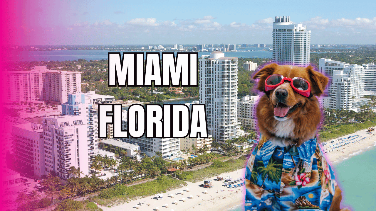 Peluqueria canina en Miami Florida 