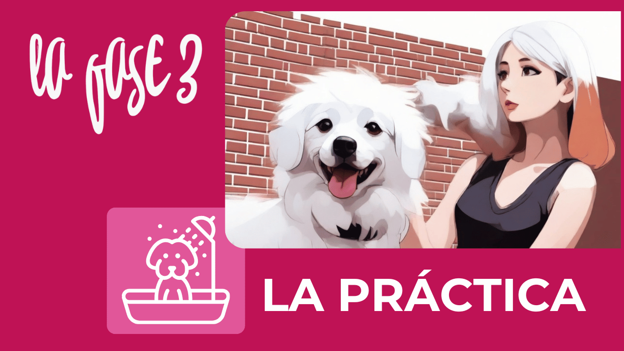 Plan de estudios de pet grooming en Estados Unidos 