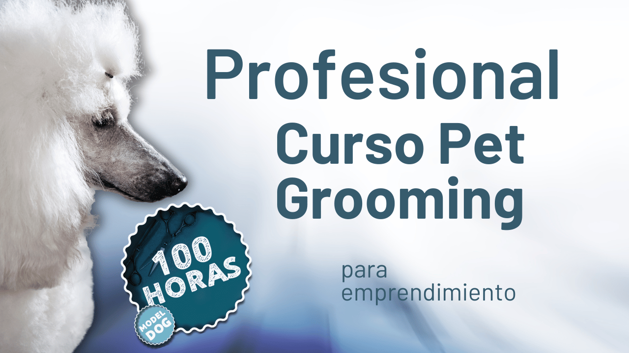 Odoo • Imagen y texto
