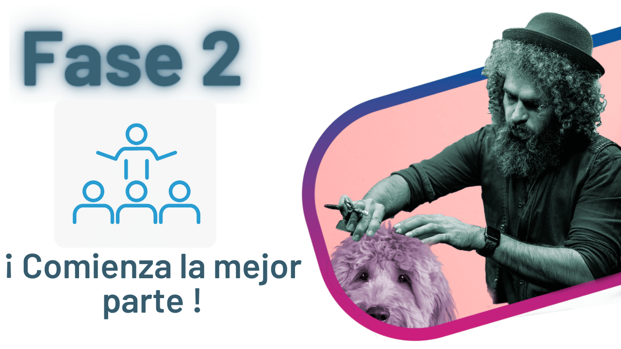 Odoo • Imagen y texto