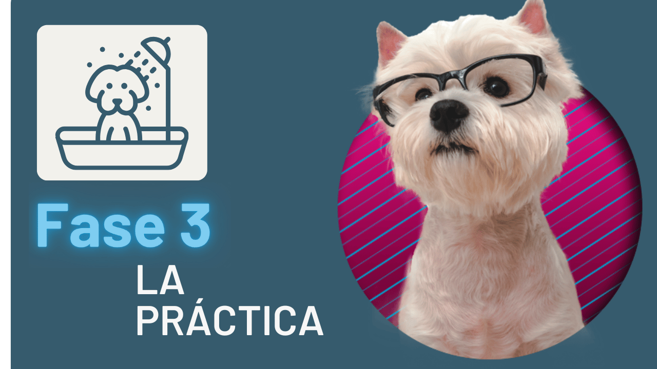 Odoo • Imagen y texto