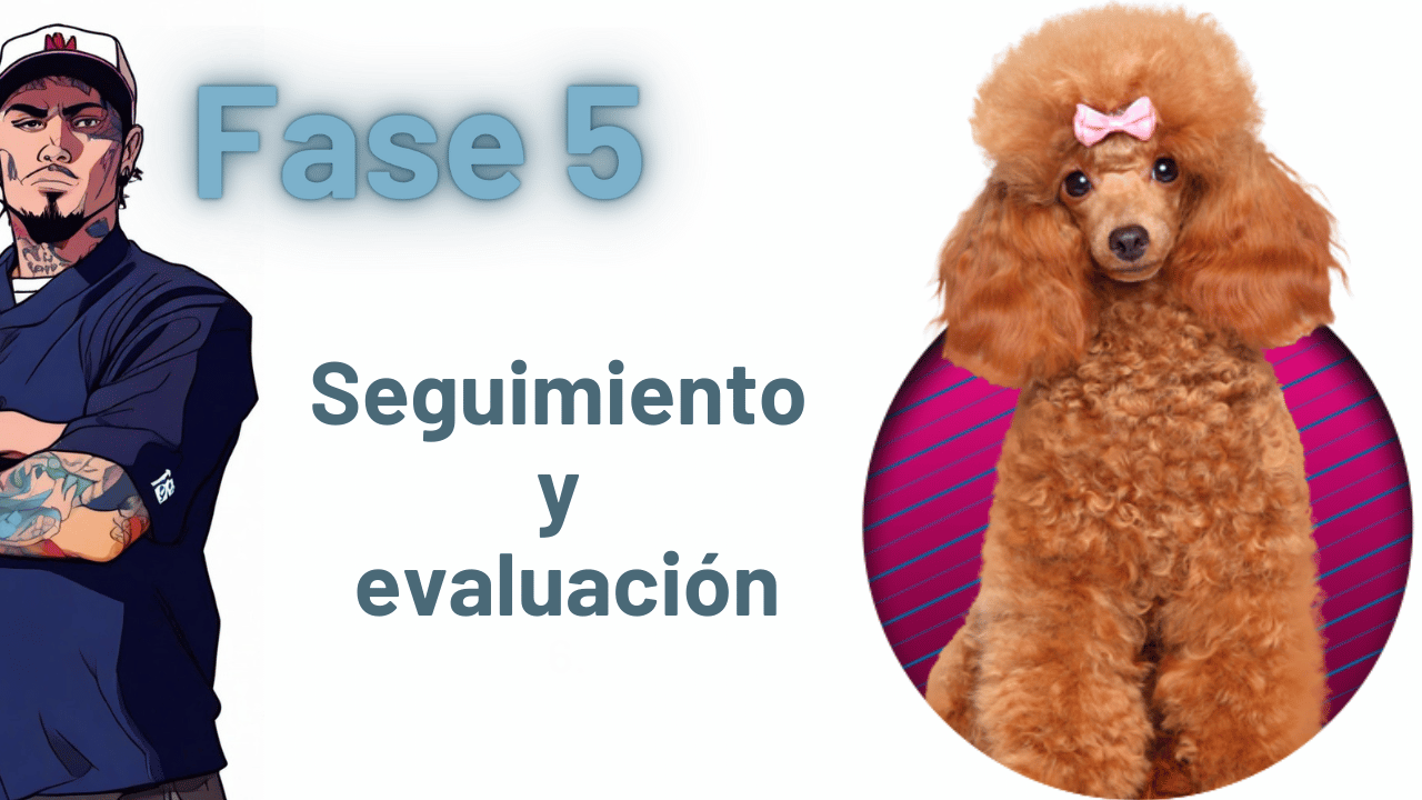 Odoo • Imagen y texto