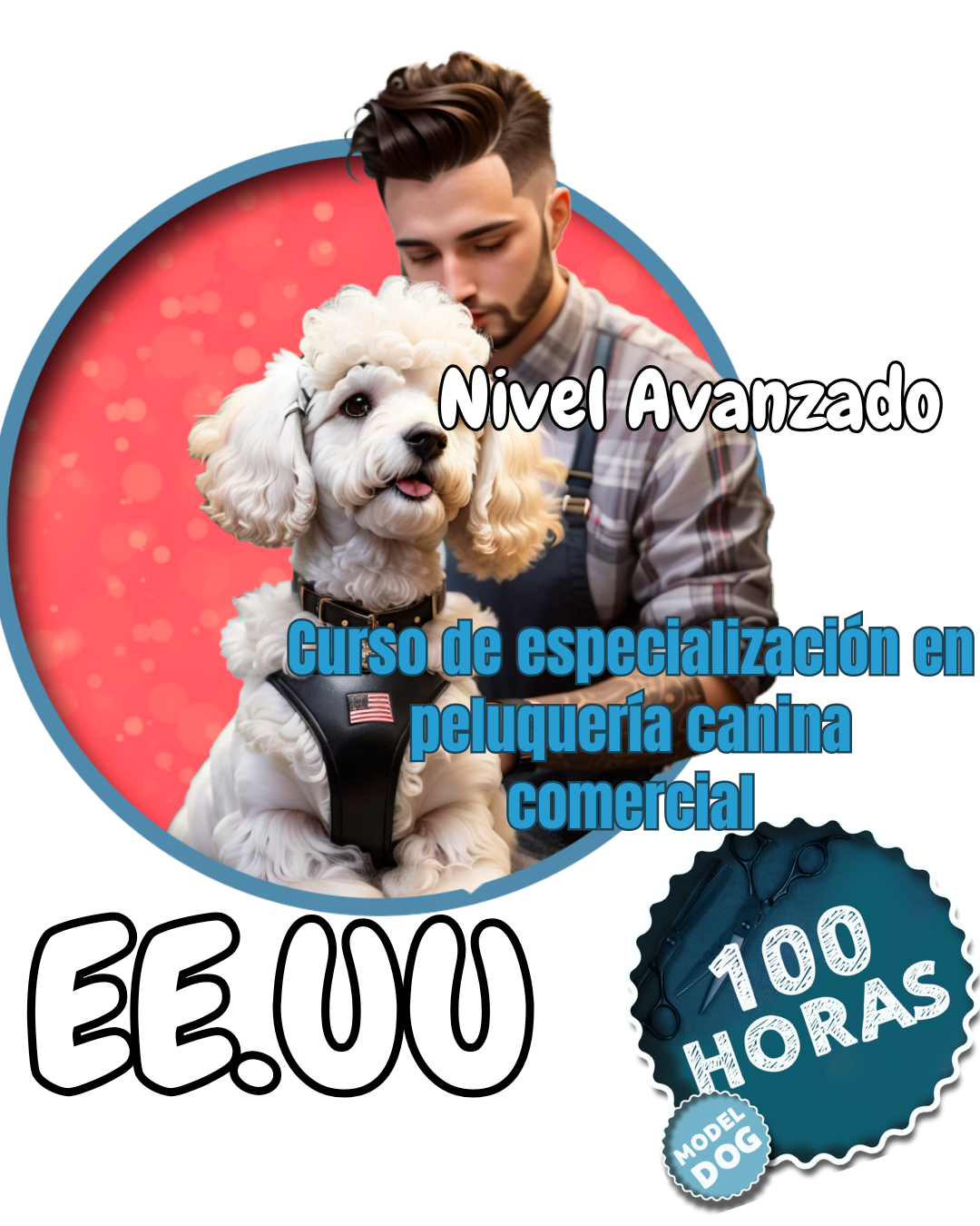 Odoo • Imagen y texto