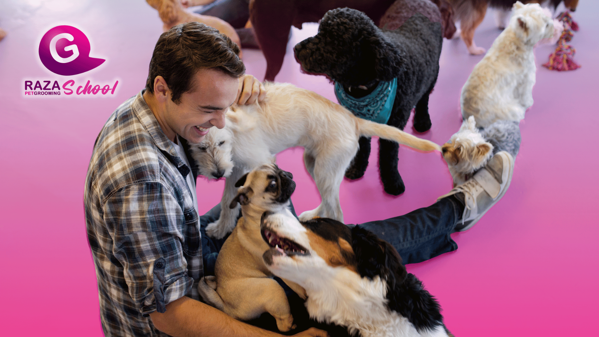 Estudiante de curso de peluquería canina profesional en Bogotá