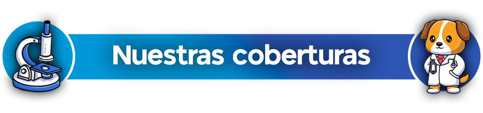 Odoo • Imagen y texto
