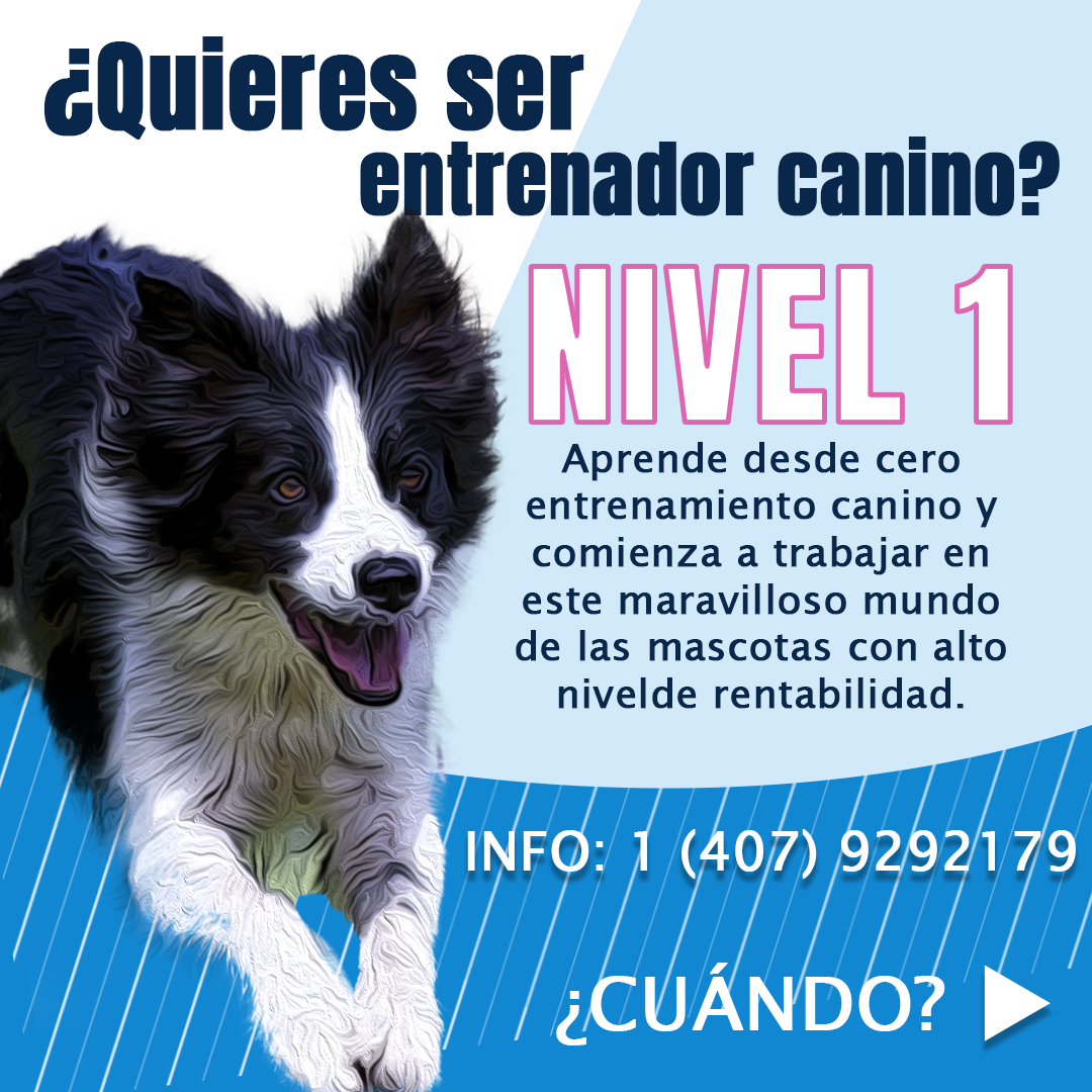 Imagen de la diapositiva