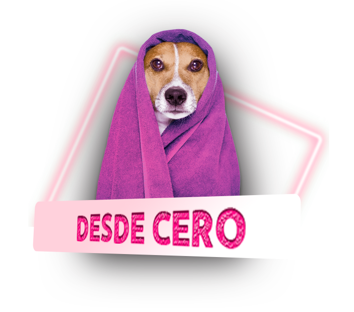 Odoo • Imagen y texto